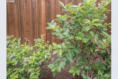 19838 NE Wasco St, Portland, OR 97230 - Photo 39