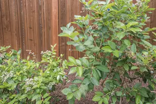 19838 NE Wasco St, Portland, OR 97230 - Photo 39