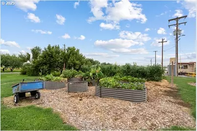 81700 Peach Tree Ln, Umatilla, OR 97882 - Photo 35