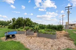 81700 Peach Tree Ln, Umatilla, OR 97882 - Photo 35