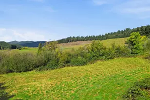 24153 Vaughn Rd, Veneta, OR 97487 - Photo 39
