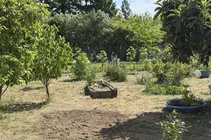 46393 Hwy 242, Myrtle Point, OR 97458 - Photo 43