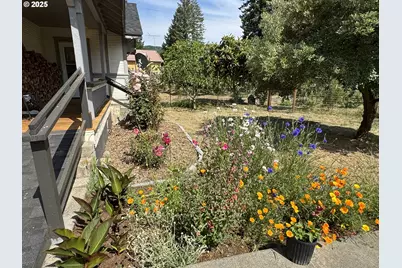46393 Highway 242, Myrtle Point, OR 97458 - Photo 45