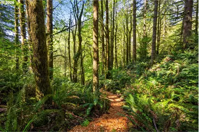 2838 Lewis River Rd, Woodland, WA 98674 - Photo 5