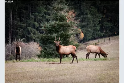 33306 Freds Row Ln, Saint Helens, OR 97051 - Photo 35