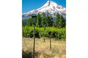 7500 Smullin Rd, Mount Hood Prkdl, OR 97041 - Photo 11