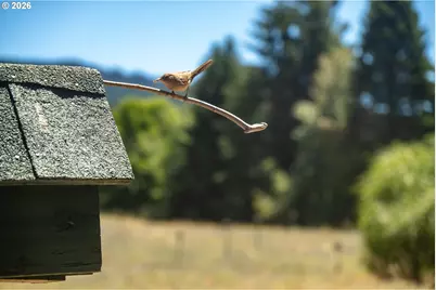 7500 Smullin Rd, Mount Hood Prkdl, OR 97041 - Photo 13