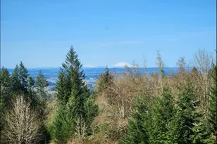 21645 NE McCormick Hill Rd, Hillsboro, OR 97123 - Photo 47