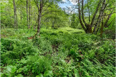 91 Rancho Del Oro, Stevenson, WA 98648 - Photo 3