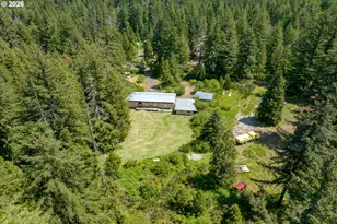 91668 Burton Dr, McKenzie Bridge, OR 97413 - Photo 3