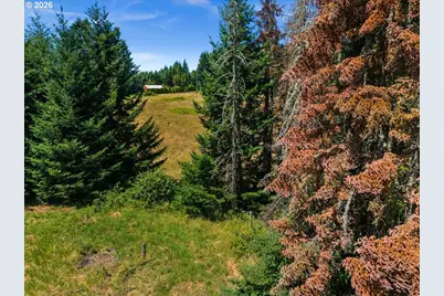 20802 NW Pumpkin Ridge Rd, North Plains, OR 97133 - Photo 9