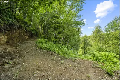 19005 NE Buncombe Hollow Rd, Woodland, WA 98674 - Photo 11