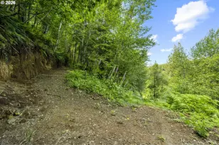 19005 NE Buncombe Hollow Rd, Woodland, WA 98674 - Photo 11