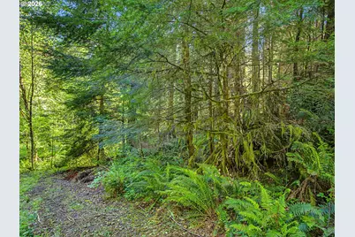 51660 E Terra Fern Dr, Sandy, OR 97055 - Photo 17