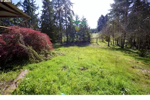24600 Hwy 36, Cheshire, OR 97419 - Photo 9