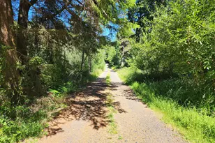 42535 Hensley Hill Rd, Port Orford, OR 97465 - Photo 11