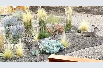 61304 SE Wizard Ln, Bend, OR 97702 - Photo 9