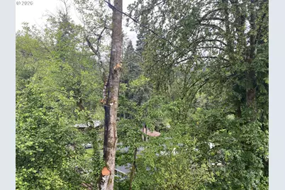 45300 Goodpasture Rd, Vida, OR 97488 - Photo 17