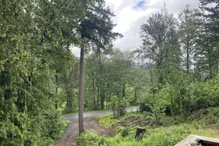 45300 Goodpasture Rd, Vida, OR 97488 - Photo 15