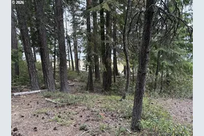 24284 Crescent Lake Hwy #38, Crescent Lake, OR 97733 - Photo 29