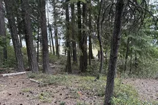 24284 Crescent Lake Hwy, Crescent Lake, OR 97733 - Photo 29