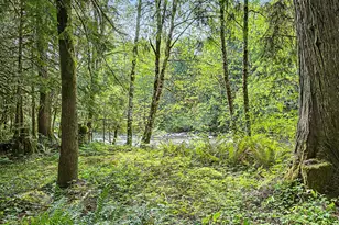 23491 E Lolo Pass Rd, Rhododendron, OR 97049 - Photo 43