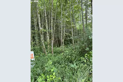 488 Ravenwood Rd, Kelso, WA 98626 - Photo 3
