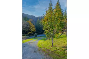15779 Hwy 42, Myrtle Point, OR 97458 - Photo 29