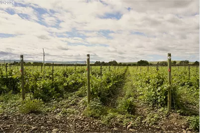 84427 Highway 339, Milton-Freewater, OR 97862 - Photo 7