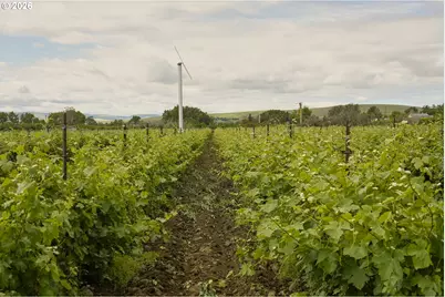 84427 Highway 339, Milton-Freewater, OR 97862 - Photo 3
