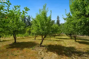 11200 NE Gren Fels Dr, Battle Ground, WA 98604 - Photo 35