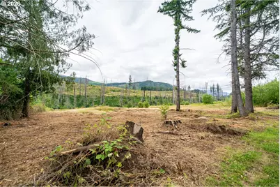 35220 N Santiam Hwy SE, Gates, OR 97346 - Photo 3