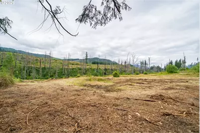 35220 N Santiam Hwy SE, Gates, OR 97346 - Photo 5