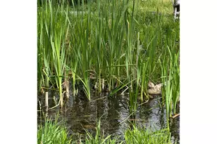 82495 Fish Hatchery Ln, Enterprise, OR 97828 - Photo 27