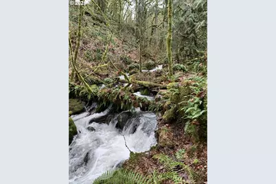 40920 NW Maple Ridge Rd, Woodland, WA 98674 - Photo 37