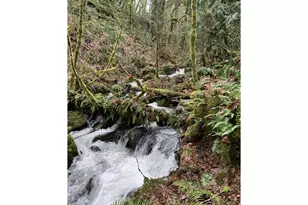 40920 NW Maple Ridge Rd, Woodland, WA 98674 - Photo 37