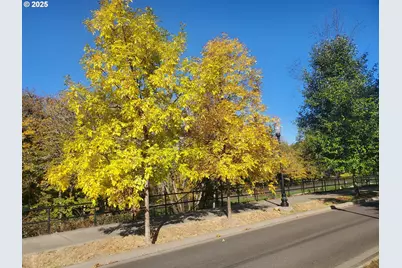 4th Ave, Veneta, OR 97487 - Photo 15