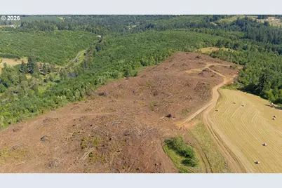 Gregory Rd, Rainier, OR 97048 - Photo 5