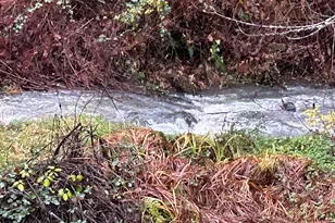 8555 SE Mayberry Ln, Boring, OR 97009 - Photo 21