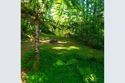 9247 Highway 126, Mapleton, OR 97453 - Photo 19