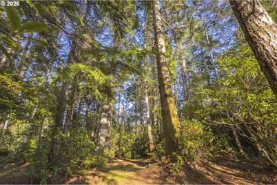 1 Devereux Way, Bandon, OR 97411 - Photo 21