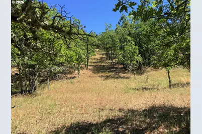 238 Chisholm Rd, Goldendale, WA 98620 - Photo 39