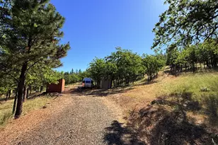 238 Chisholm Rd, Goldendale, WA 98620 - Photo 1