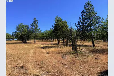 238 Chisholm Rd, Goldendale, WA 98620 - Photo 27