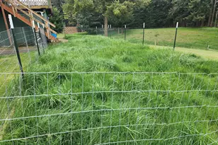 32901 SE Divers Rd, Estacada, OR 97023 - Photo 25