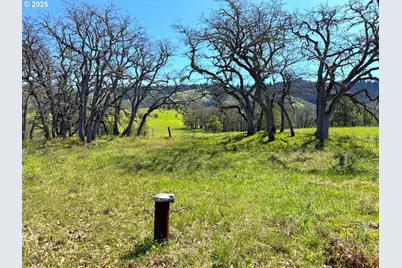 Centerville Hwy Lot3, Lyle, WA 98635 - Photo 5