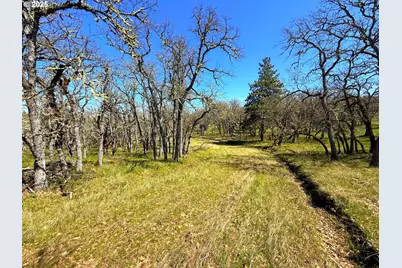 Centerville Hwy Lot3, Lyle, WA 98635 - Photo 23