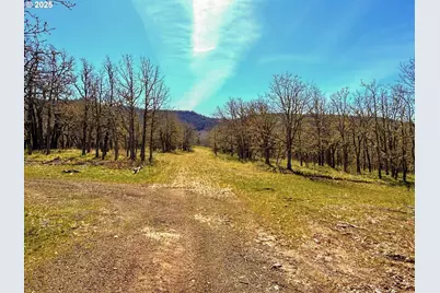 Centerville Hwy Lot3, Lyle, WA 98635 - Photo 33