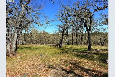 Centerville Hwy Lot3, Lyle, WA 98635 - Photo 17