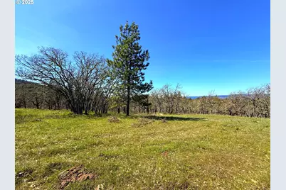 Centerville Hwy Lot3, Lyle, WA 98635 - Photo 9